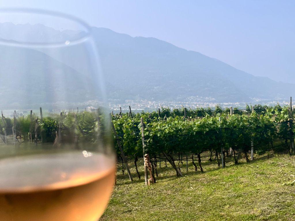 Image 3 - Cantina Altamira