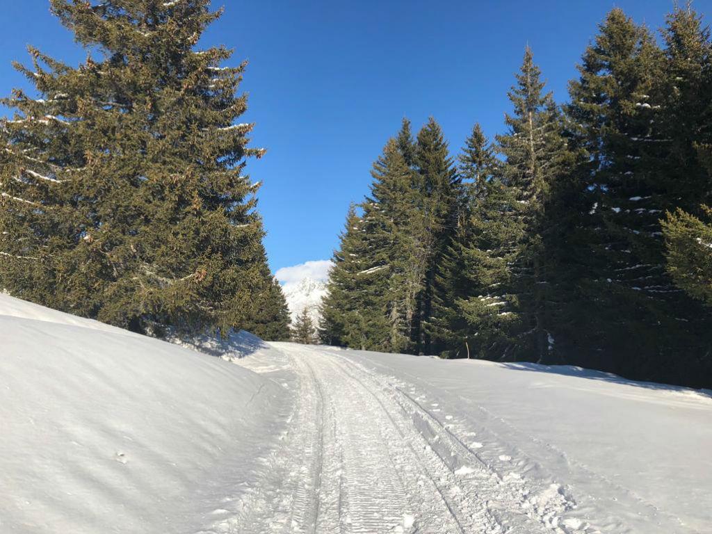 Image 2 - Promenade en traîneau avec motoneige