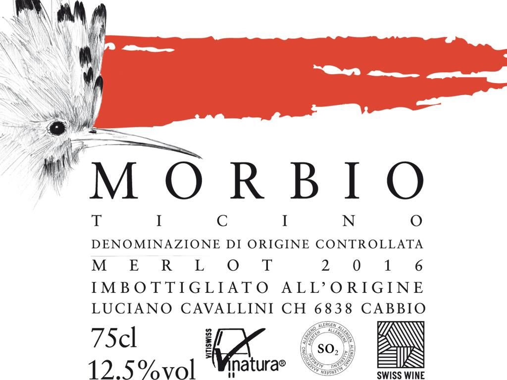 Image 2 - Wine cellar Cavallini