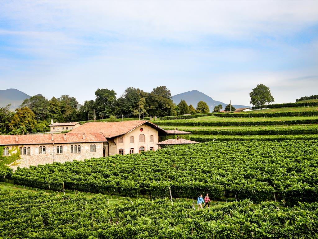 Image 2 - Degusta il Mendrisiotto avec CarPostal