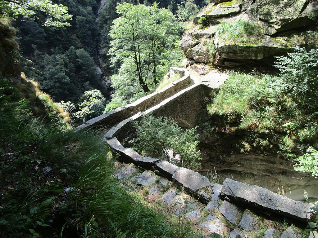 Image 2 - Waldreservat Valle di Osogna