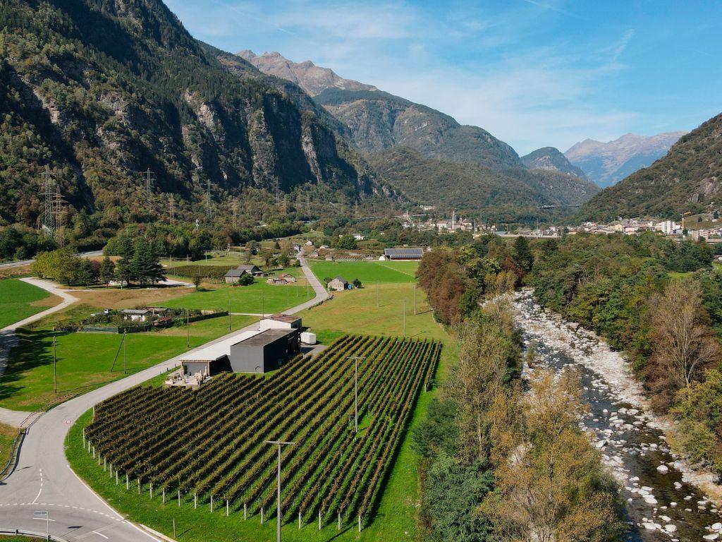 Image 4 - Cantina Settemaggio