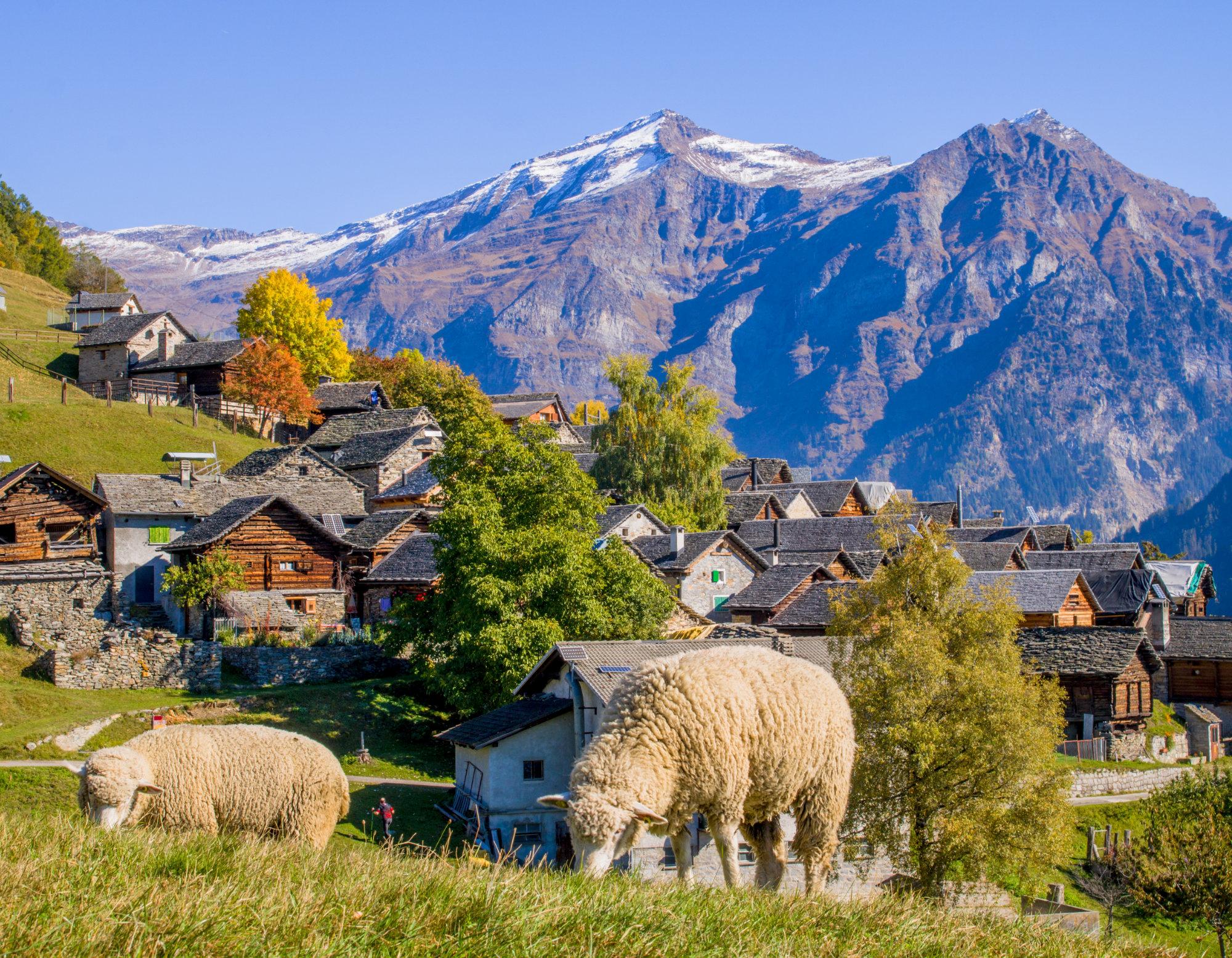 Image 2 - Cablecar Malvaglia-Dagro 