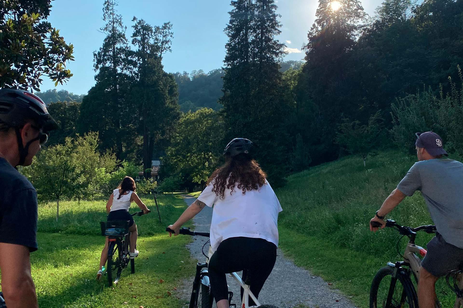 Image 2 - Wine Up Lugano