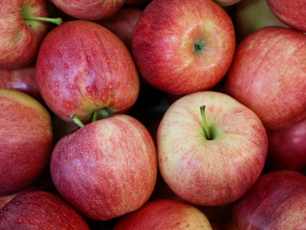 Image 3 - Biosfera Locarno