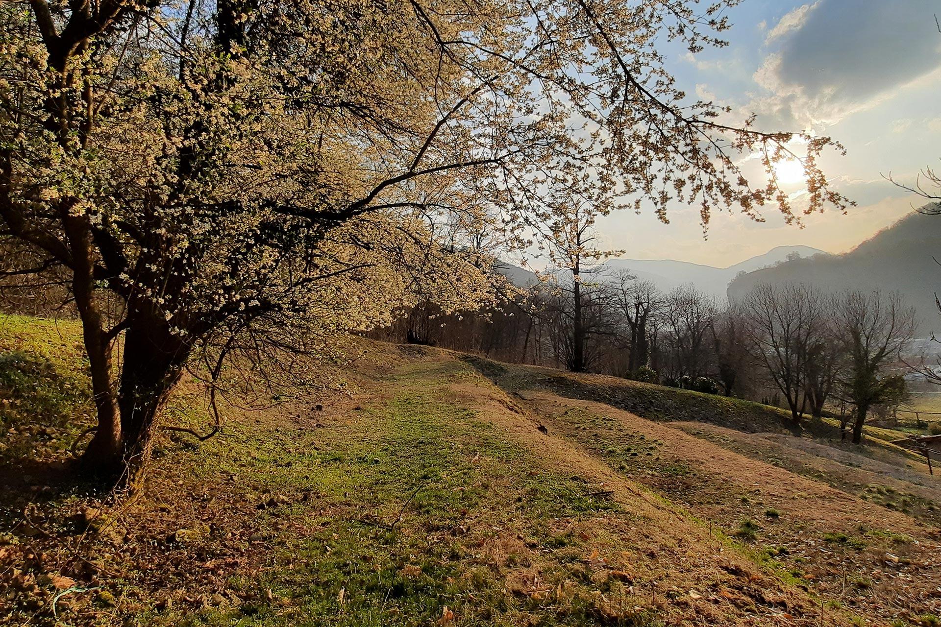 Gastronomische Verkostung im Weinberg