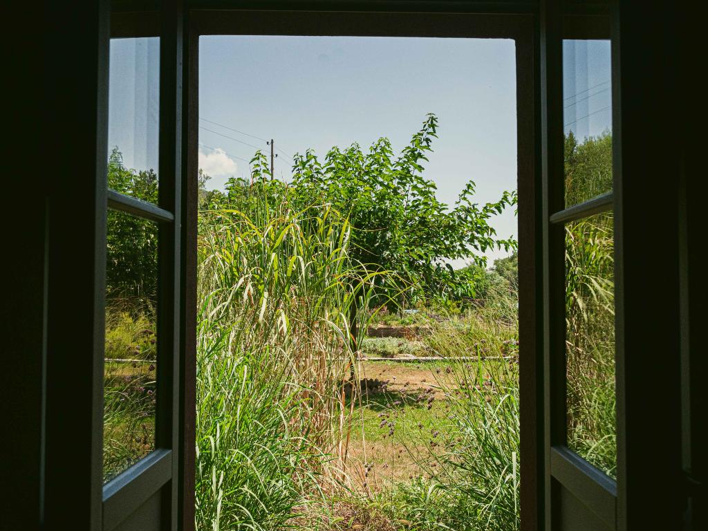 Image 1 - Ortoterapia