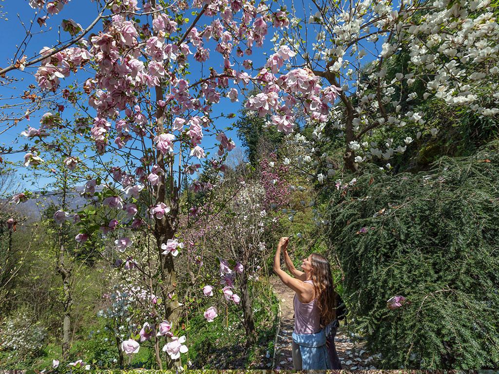 Image 8 - Botanical garden of Gambarogno