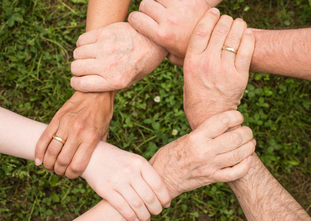 Image 3 - Swisstainable