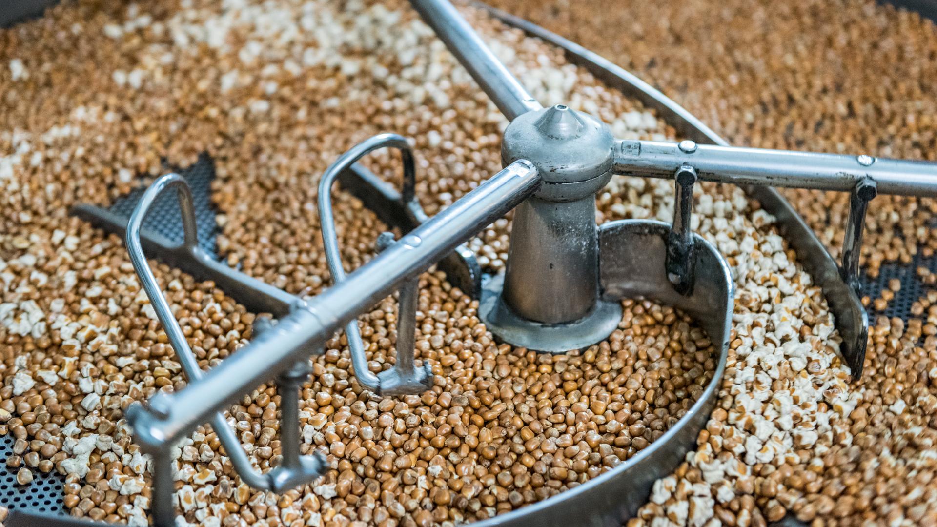 Image 2 - Farina Bona