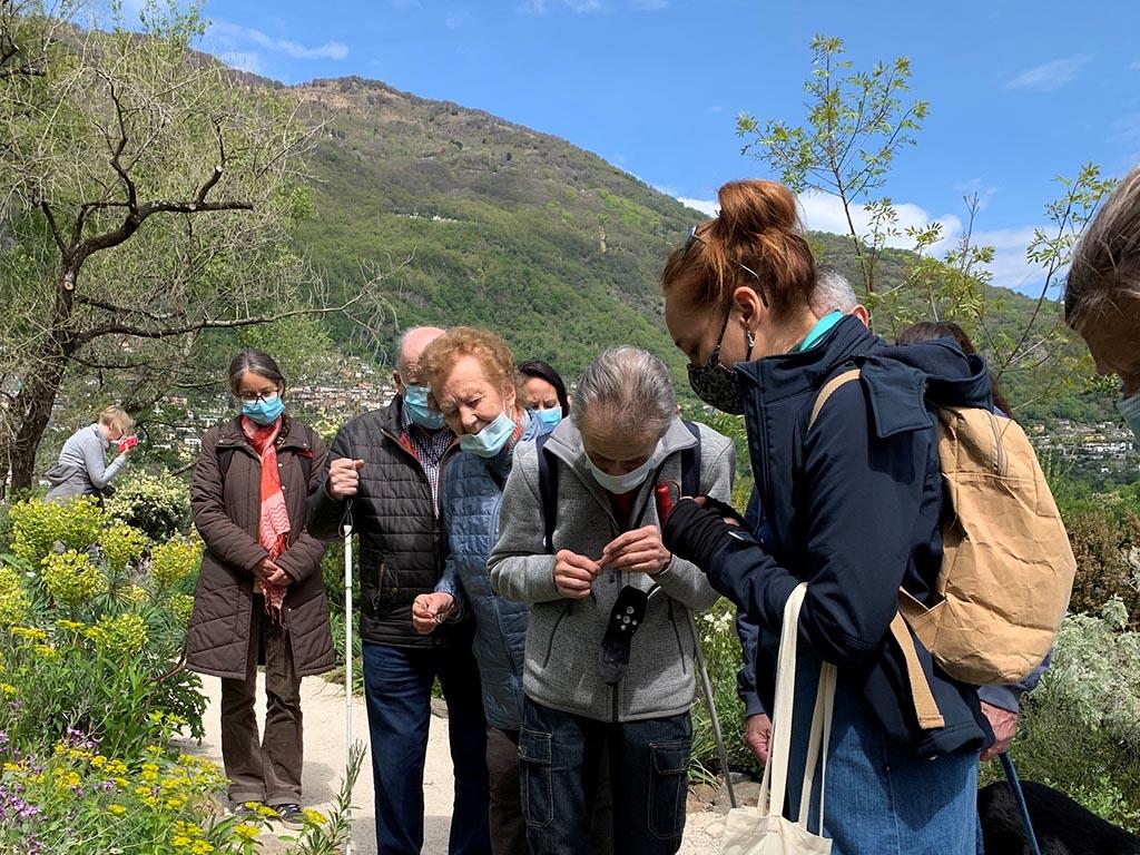 Image 3 - Isole di Brissago - Una visita guidata per ciechi e ipovedenti