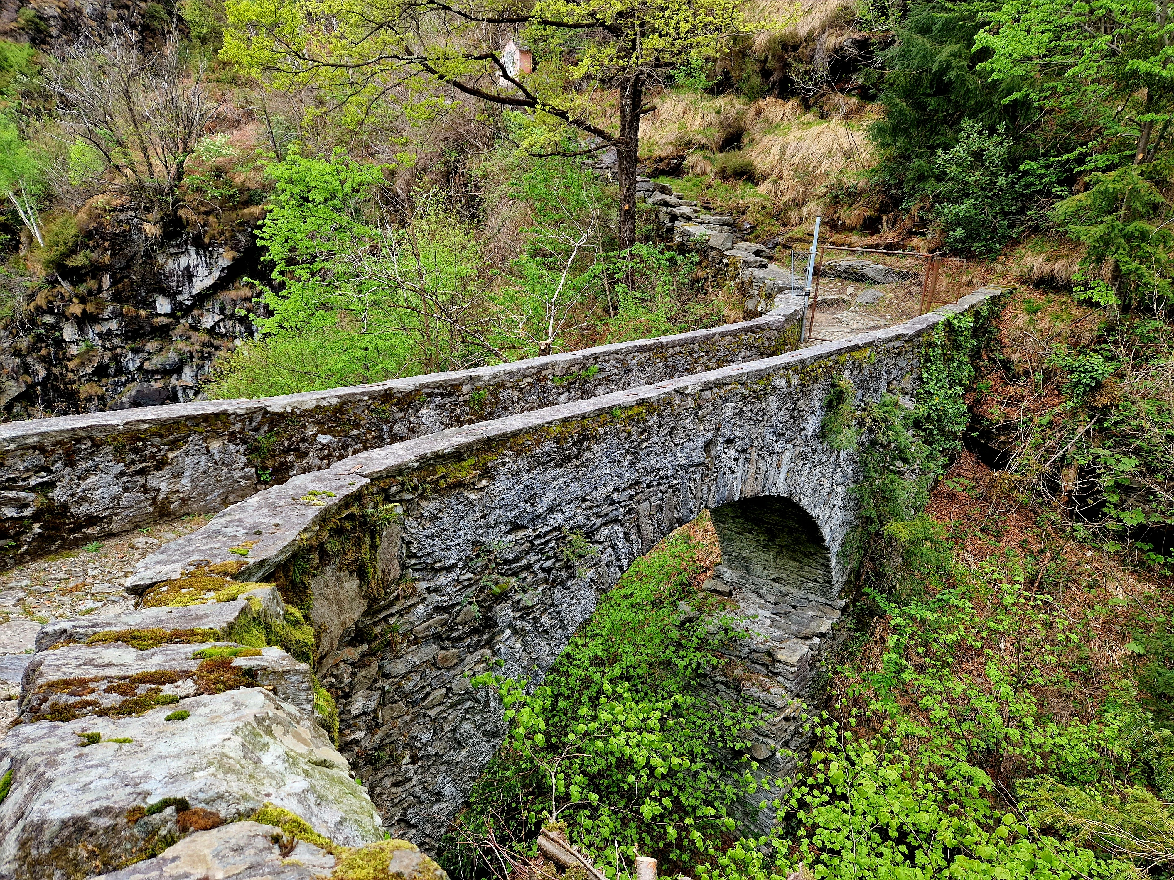 Image 0 - Glücksmomente Natur Sommer - Ponte Image 0 -