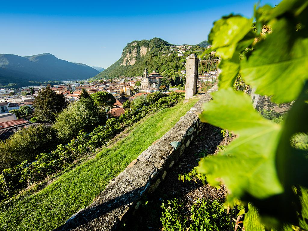 Image 1 - Family Tour in the village of Mendrisio