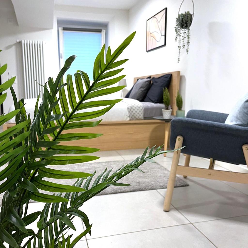 Image 0 - The Hidden Studio; Comfy & close to the Lake