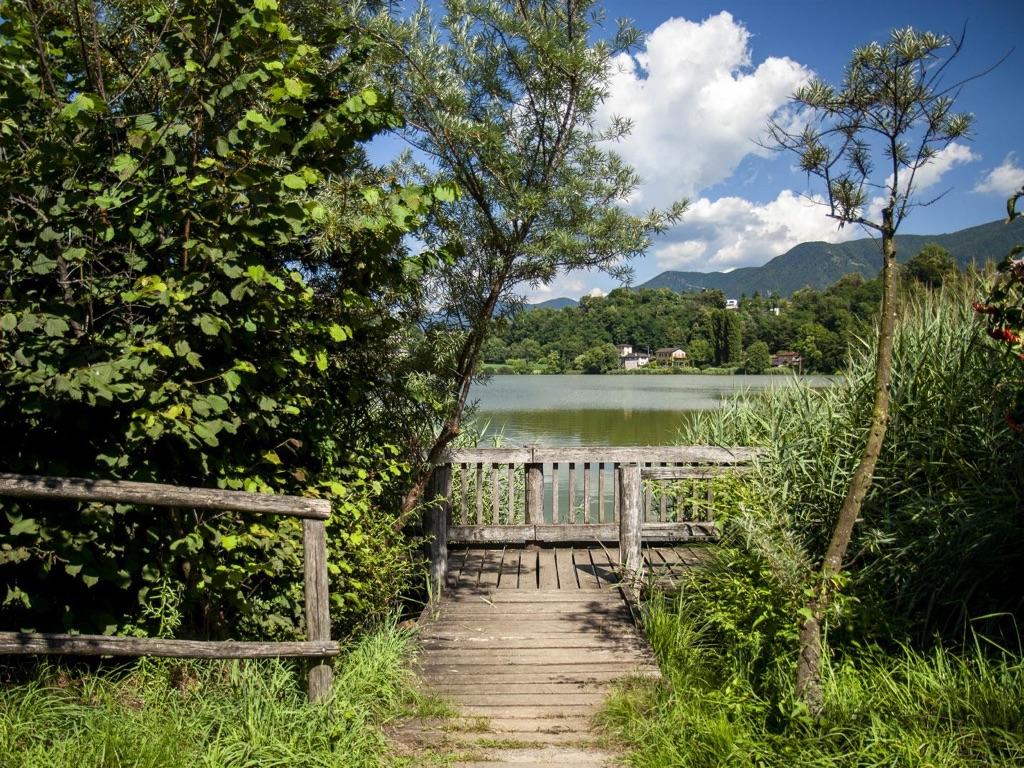 Image 3 - Muzzano lake