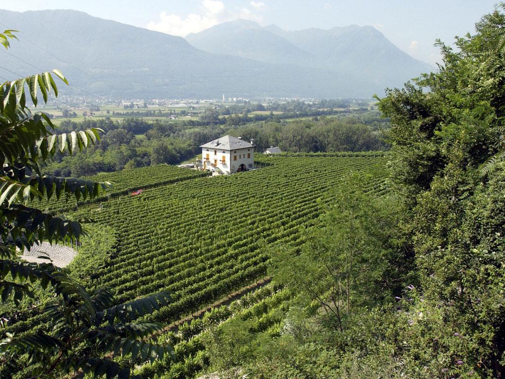 Image 4 - Agriturismo Fattoria l'Amorosa