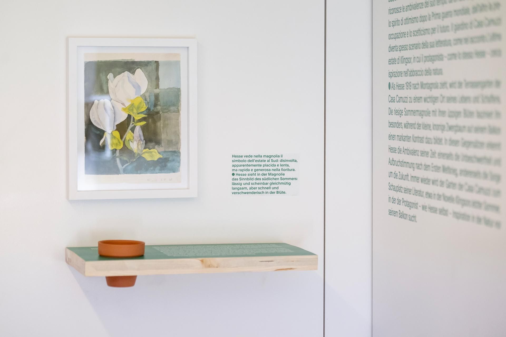 Image 16 - Museo Hermann Hesse Montagnola