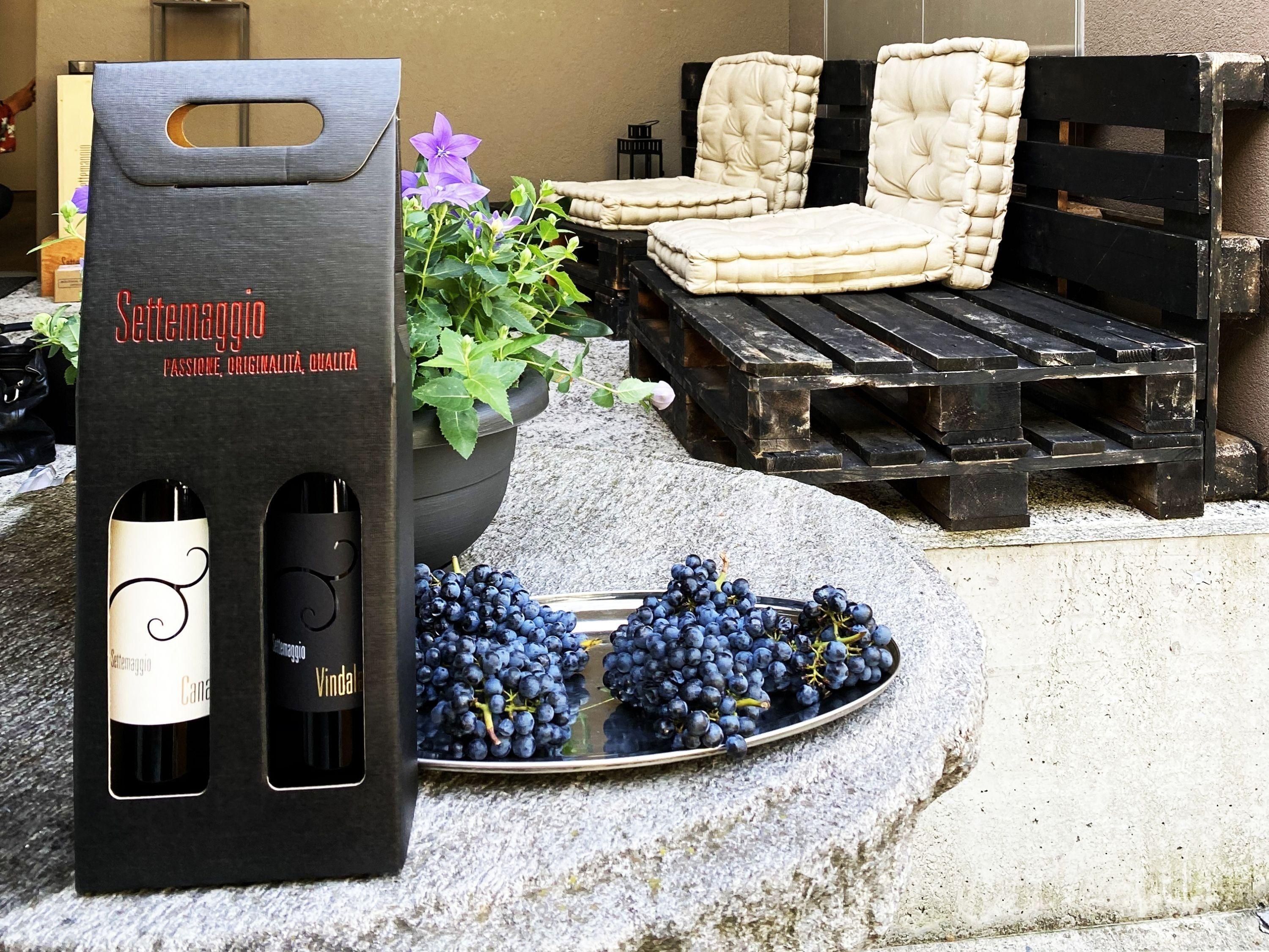 Image 9 - Wine cellar Settemaggio	