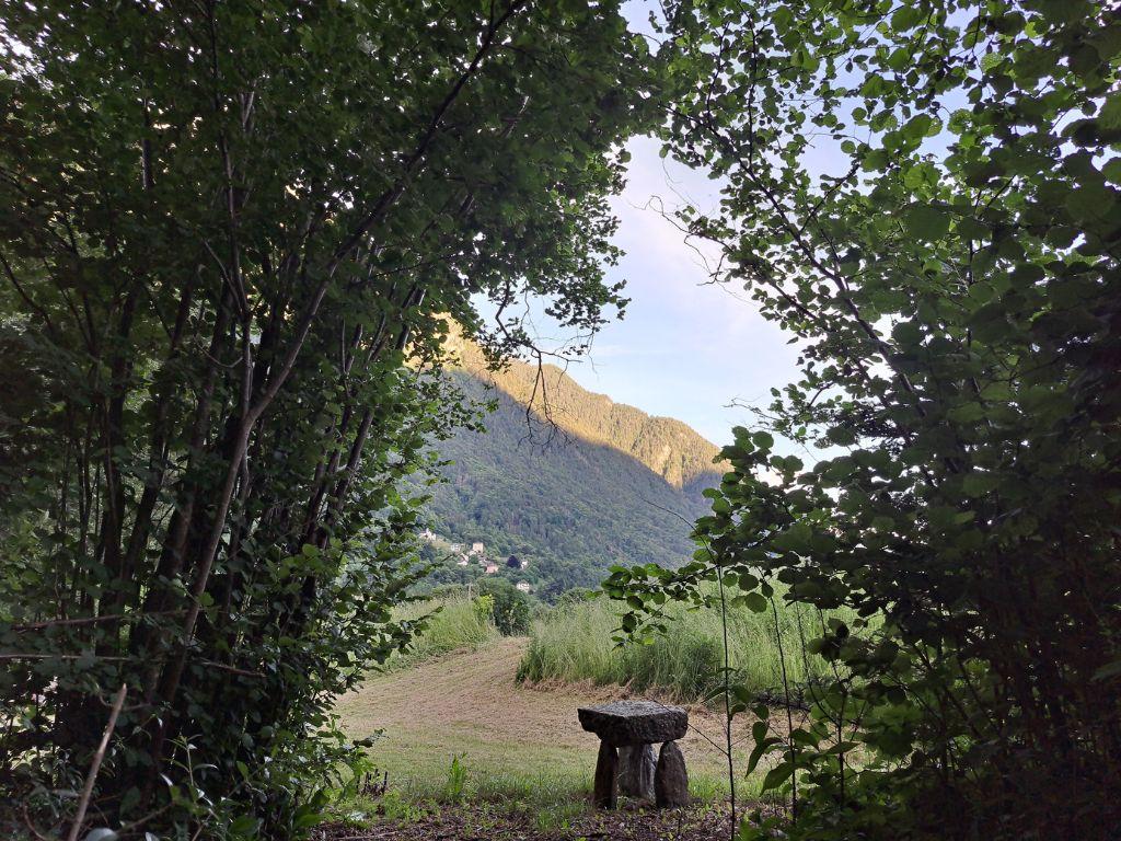 Image 0 - Camp Biotopo Mundra