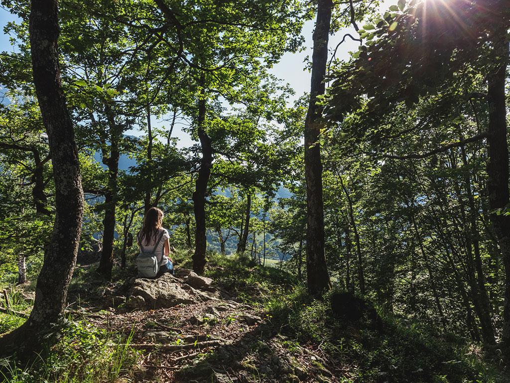 Image 6 - Funivia Verdasio-Rasa