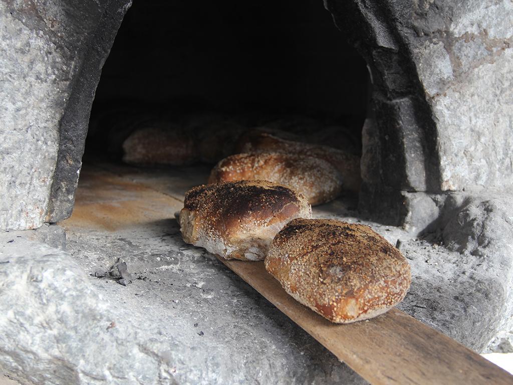 Image 0 - Workshop pane