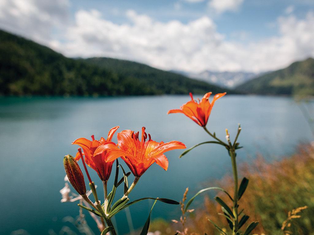 Image 1 - Laghetti alpini della regione Ritom-Piora