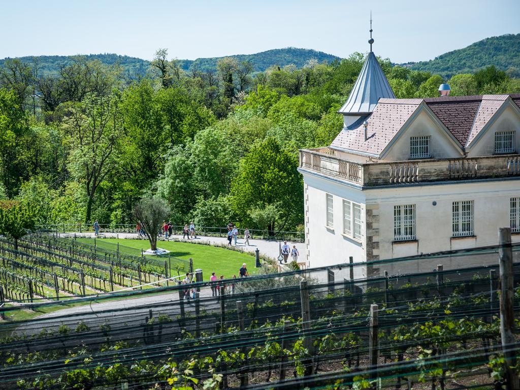 Image 1 - Castello Luigi, Az. Agr. Belvedere