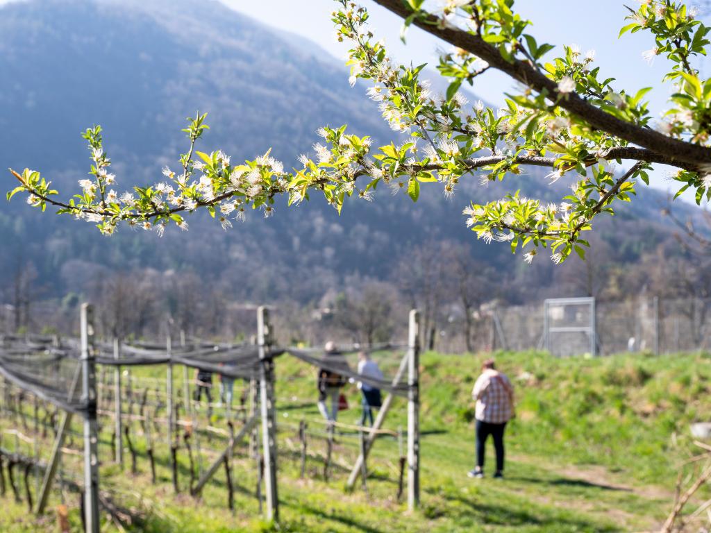 Image 3 - Agriesperienza - Azienda Agarta