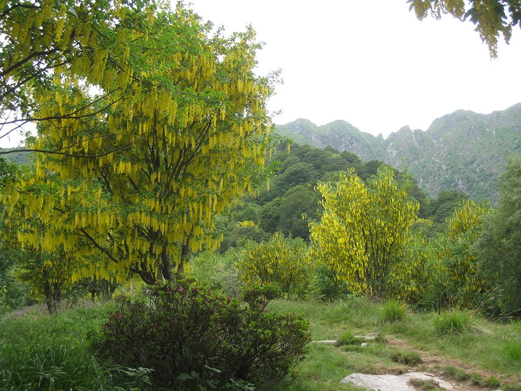 Image 1 - Waldreservat Bosco Sacro di Mergugno