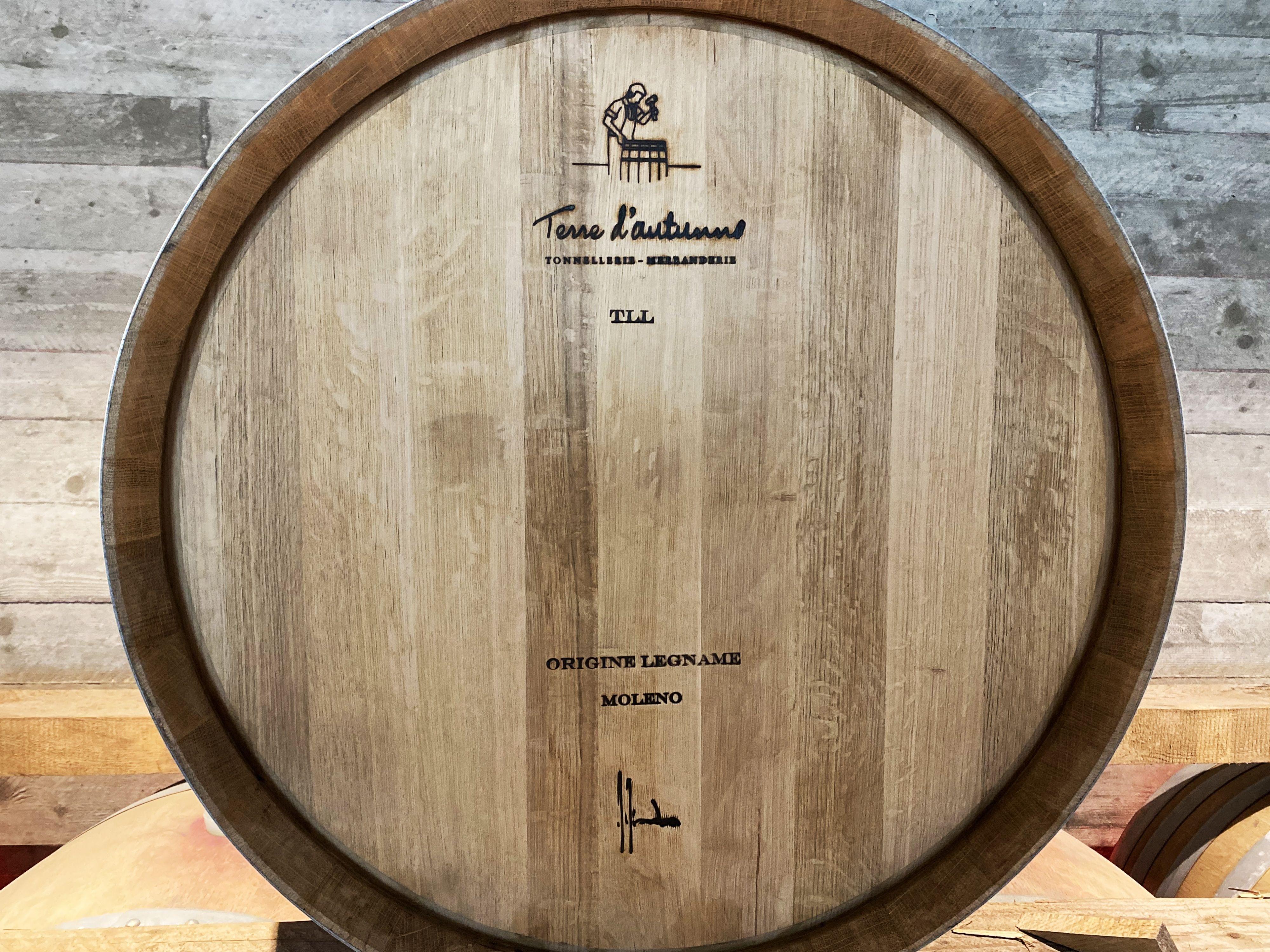 Image 7 - Terre d'autunno