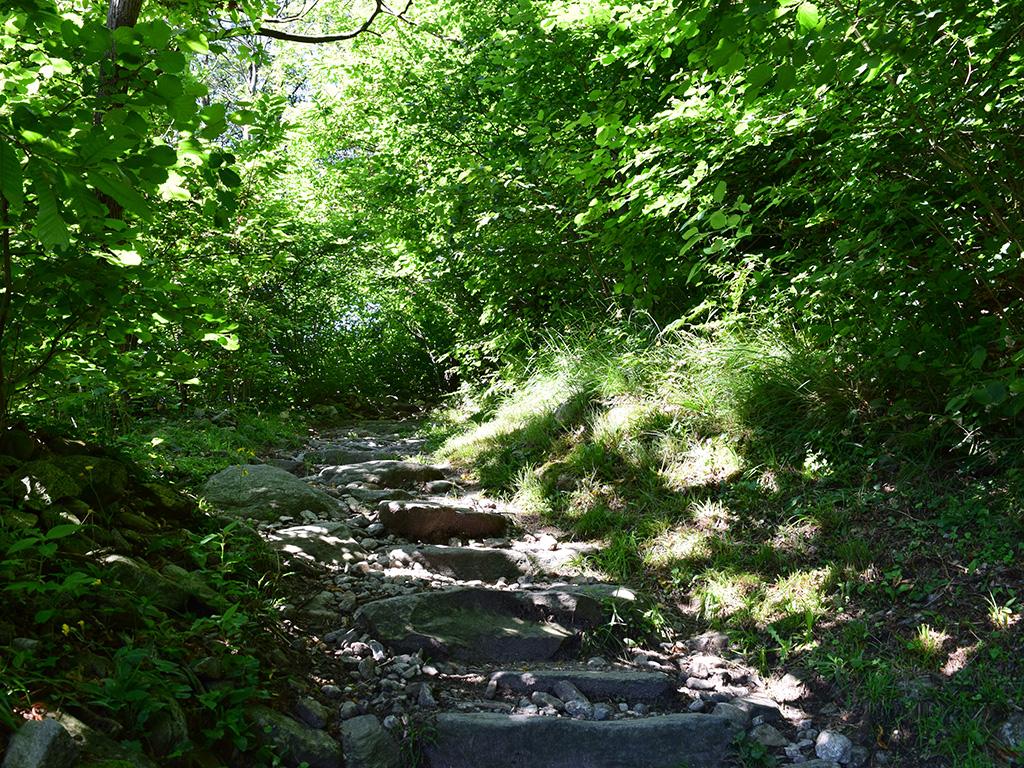 Image 2 - Course d’orientation - parcours permanent à Curzútt