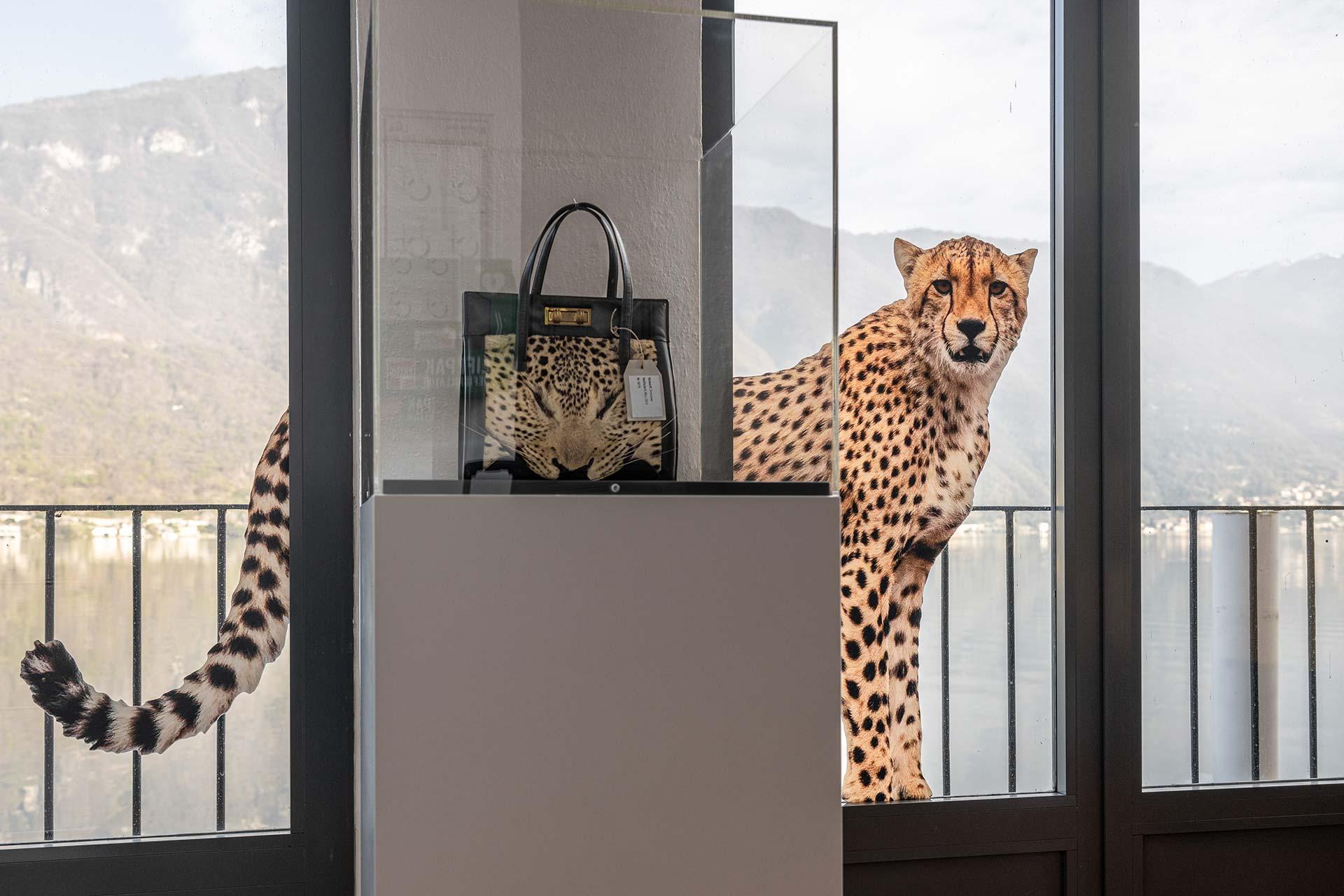 Image 5 - Musée suisse des douanes