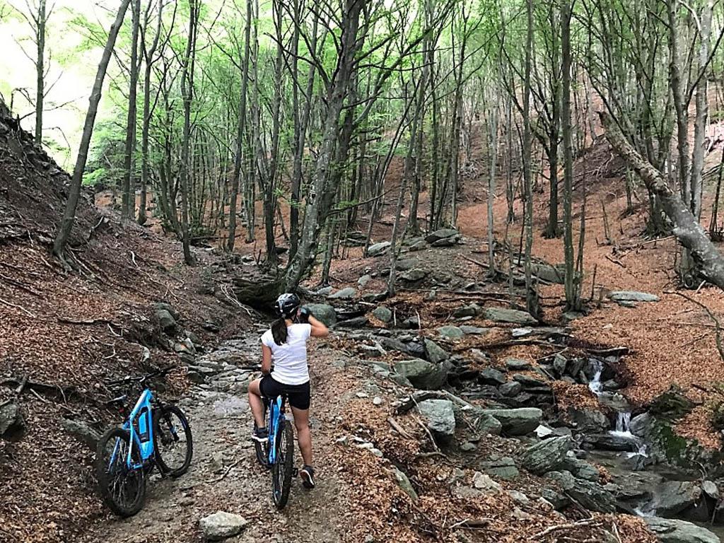 Image 1 - 2wheels Rental & Tours