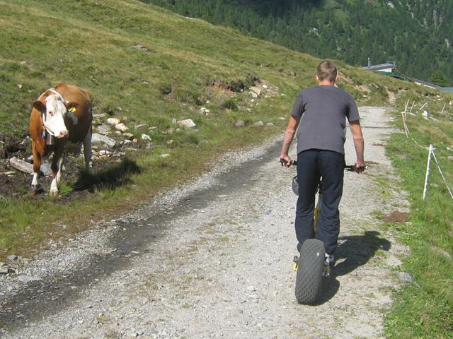 Image 16 - Talfahrt auf dem Monster Roller Bosco Gurin