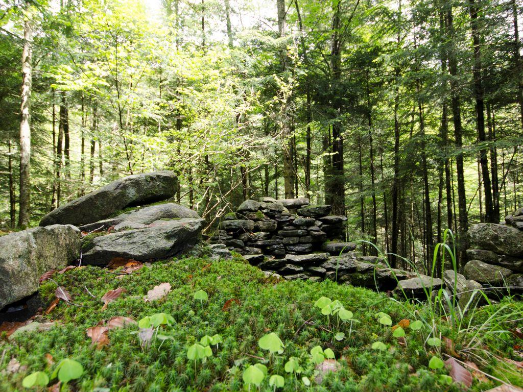 Image 1 - Waldreservat Onsernone