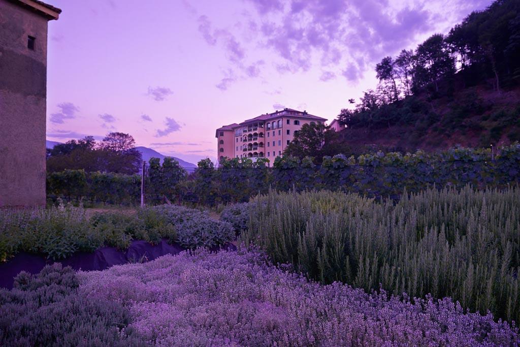 Image 14 - Resort Collina d'Oro