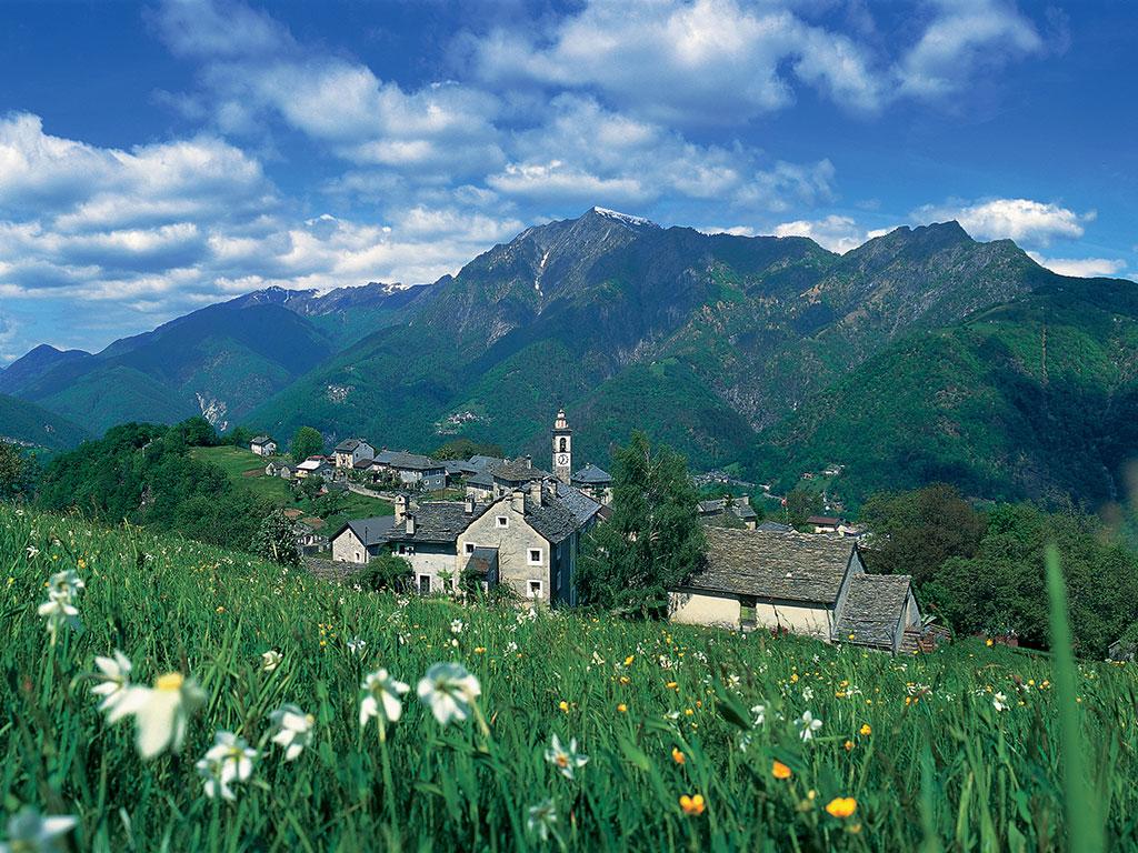 Image 2 - Campo Rasa