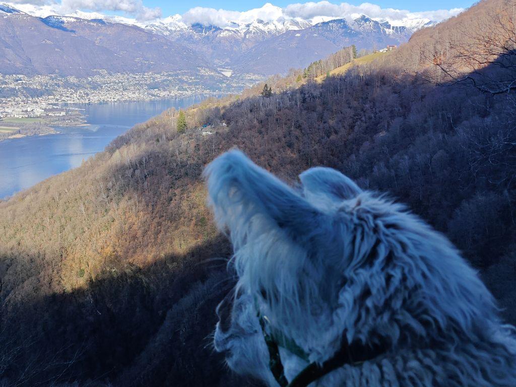 Image 2 - Lama Trekking Gambarogno