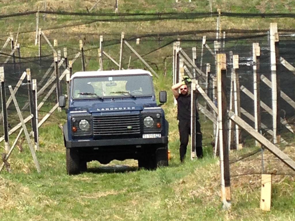 Image 5 - Cantina Blass