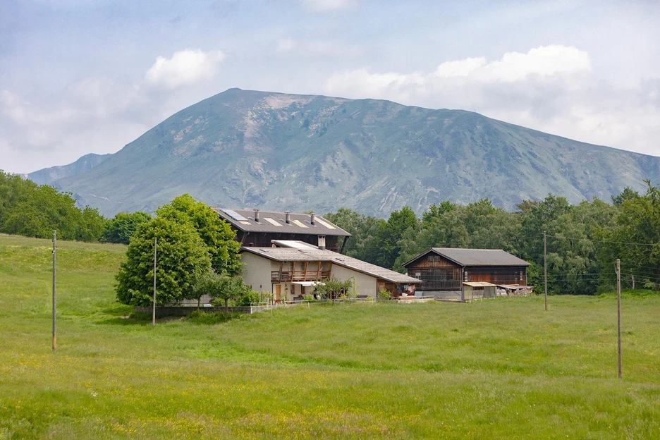Azienda agricola monti di Condra