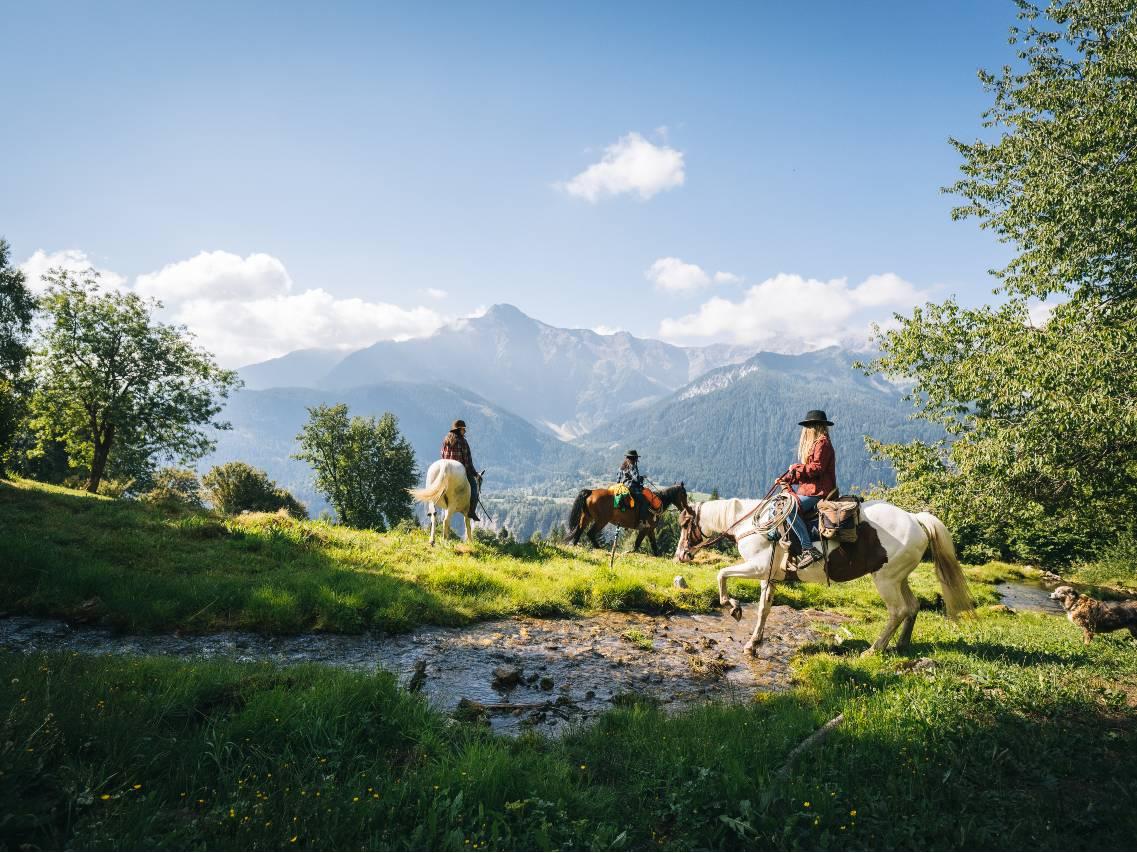 Image 0 - Horse rides in Valle Leventina: Leventina Western