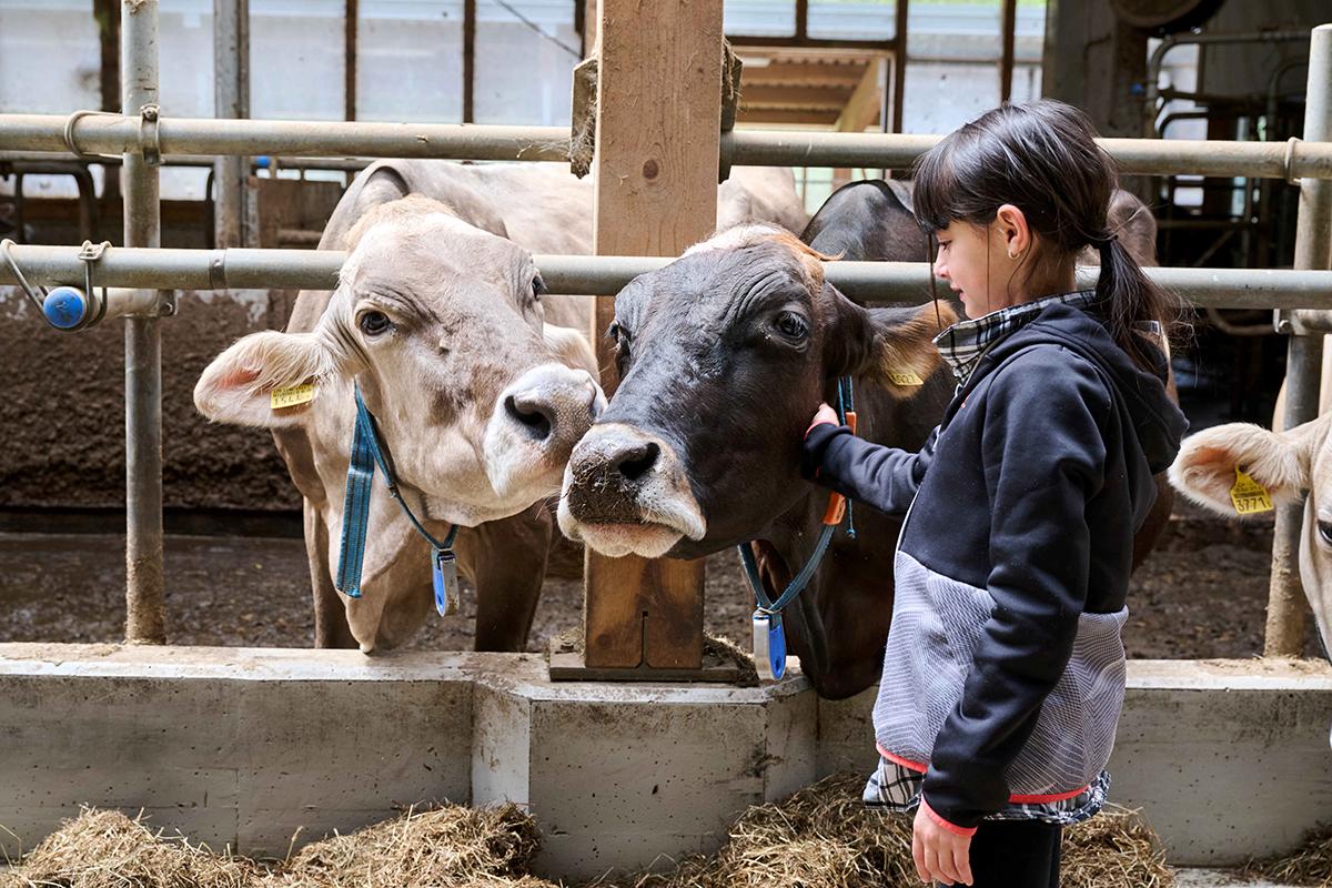 Image 0 - La Valle del sole: un viaggio tra cultura e prodotti genuini della Valle di Blenio