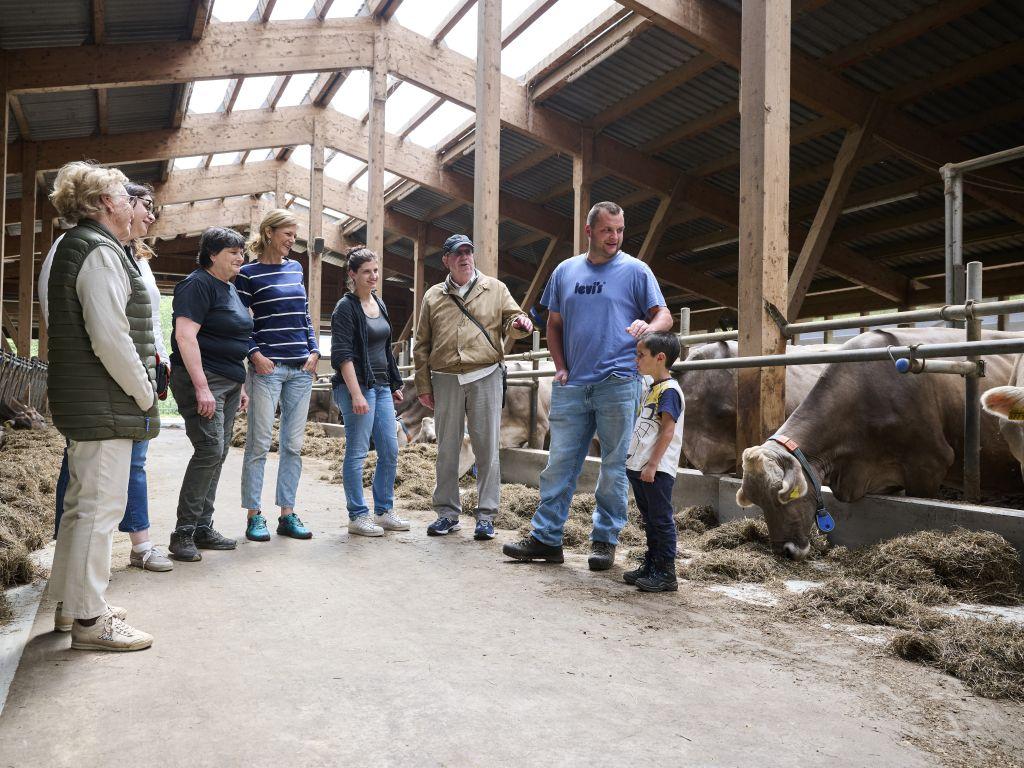 Image 0 - Agriesperienza - Azienda Croce