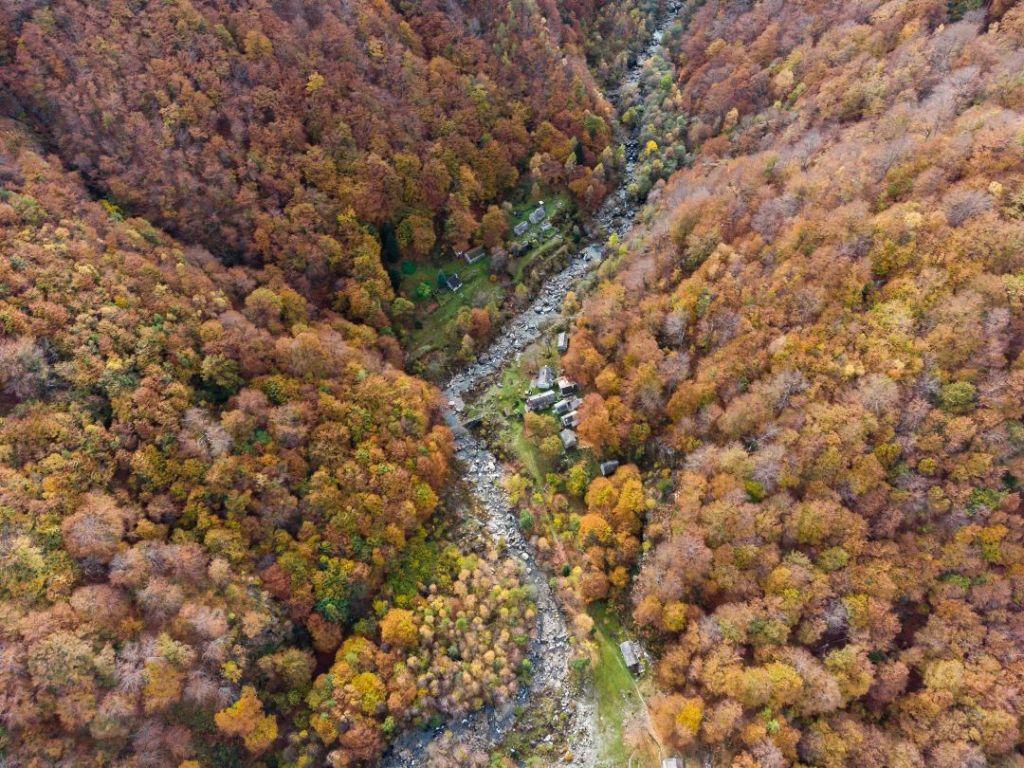 Image 2 - Alla scoperta delle faggete Patrimonio mondiale dell'UNESCO