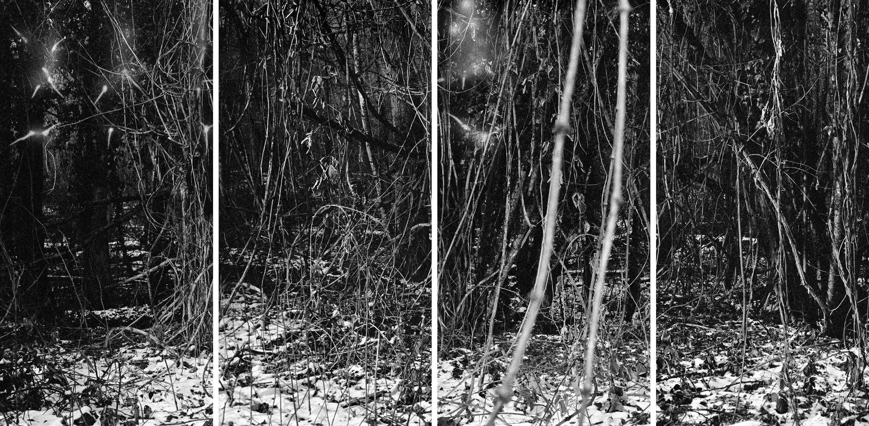 Image 2 - 