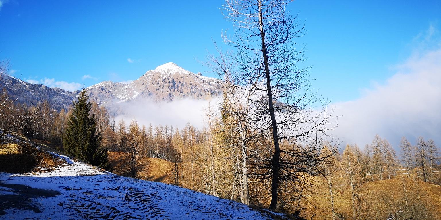 Image 5 - Agriturismo Munt la Reita