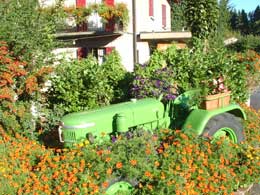 Image 2 - Grotto Ticinese