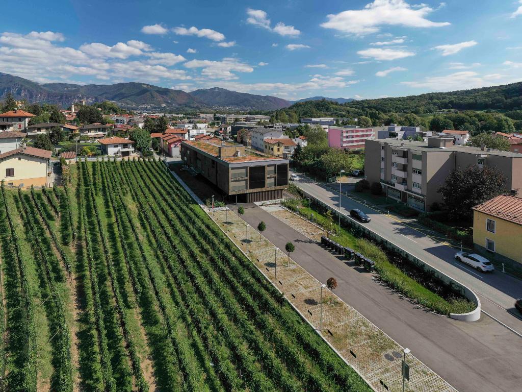 Image 8 - Lo Scudo di Stabio