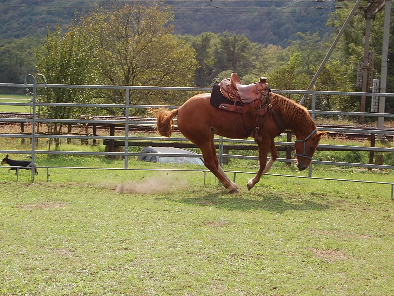 Image 9 - Ostello Centro Terapeutico La Fattoria
