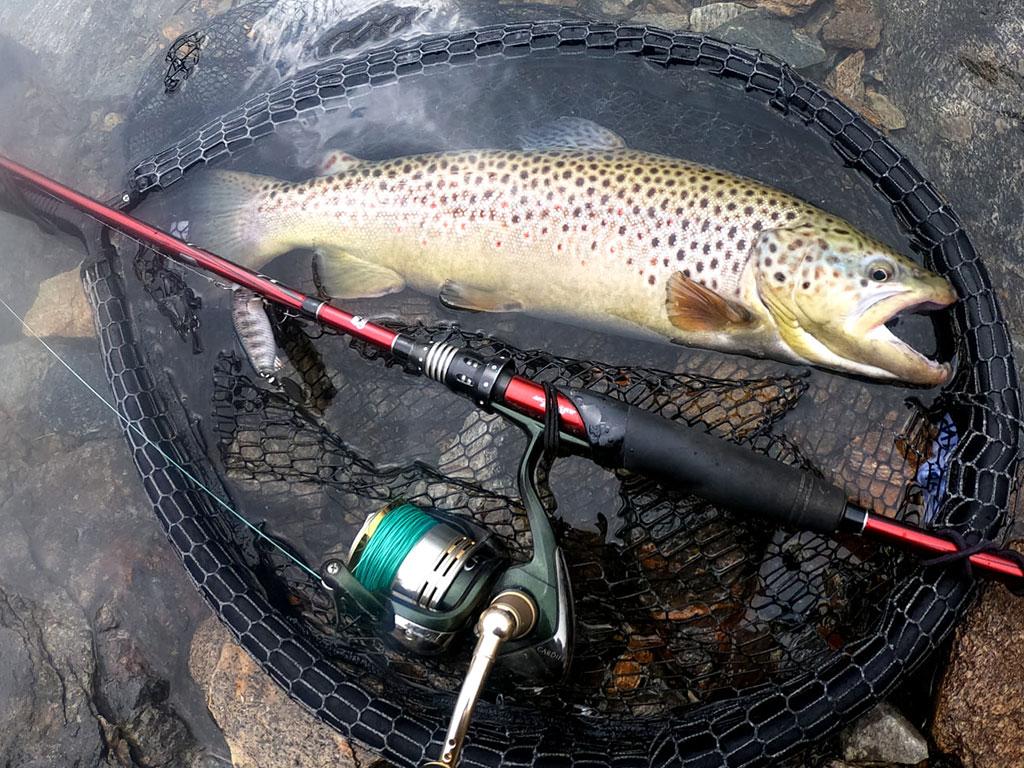Image 1 - TIFG Captain Ricci / Ticino Fishing Guide
